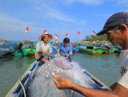 Tingkatkan Perekonomian Nelayan, PT Timah Hadirkan Pelbagai Program Pemberdayaan Mulai dari Tanam Mangrove Hingga Coral Garden 