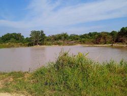 Tambang Di Jalan Perumahan Pasir Mutiara Kelurahan Bacang,Bukit Intan,Kota Pangkal Pinang,Sudah Tidak beraktivitas Lagi.