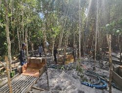 Tiga Serangkai Boy, Bagong, Basko, Kolektor Timah Ilegal Di Lepar Ponggok Lagi-Lagi Hancur Kan Hutan Mangrove Di Semurai. 